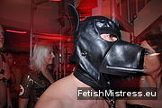Clinic, Fetish party
